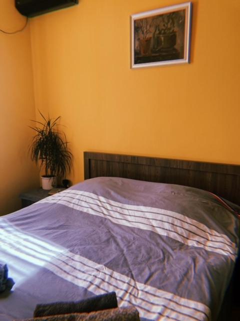 Home Away Home In Heart Of Tbilisi Luaran gambar