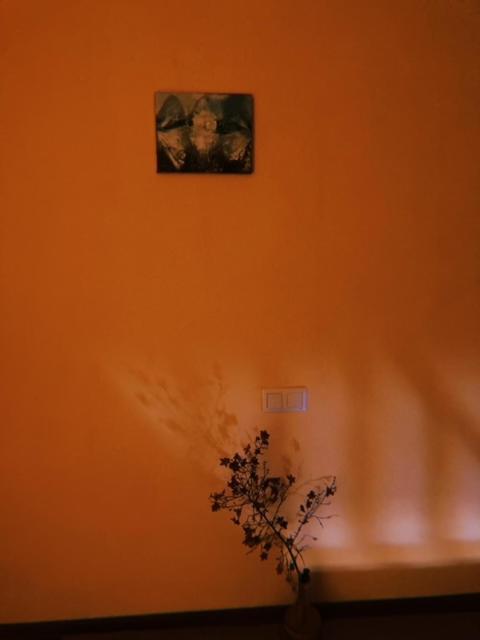 Home Away Home In Heart Of Tbilisi Luaran gambar